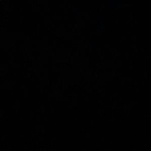 Meet your Posher, Shayla